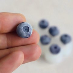 Молд силиконовый 3D "Голубика" 6 шт 